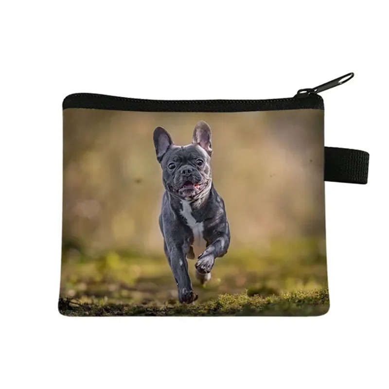 Cute Floral Bulldog Print Coin – Men Fashion Kids Bewertung und Preis