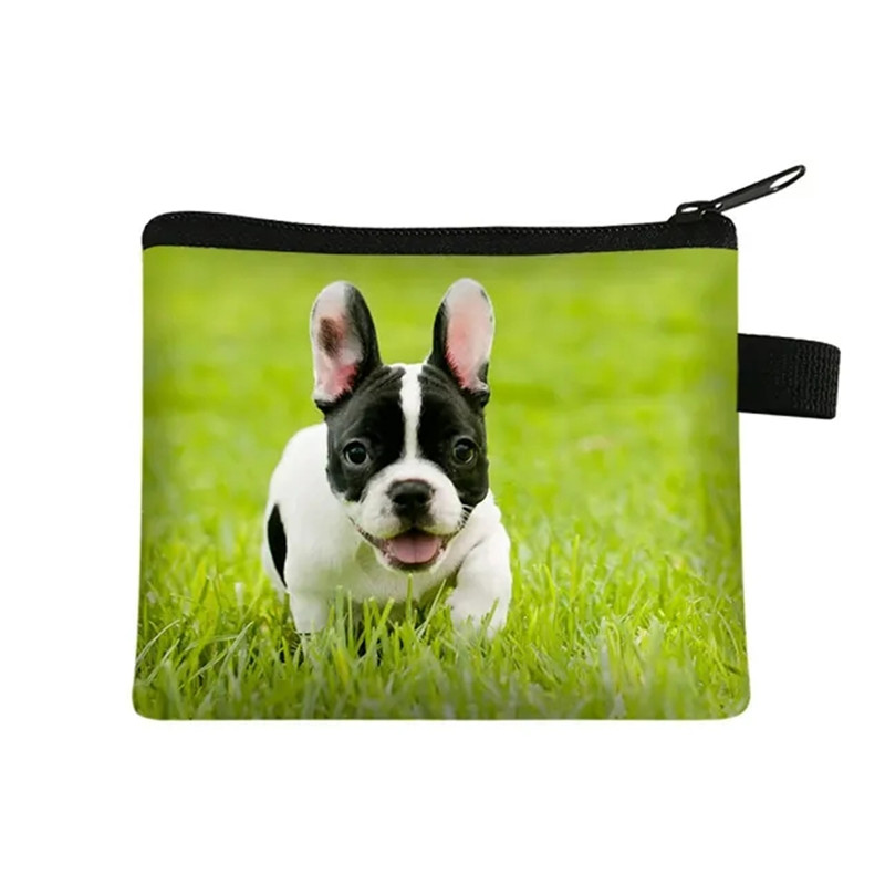 Cute Floral Bulldog Print Coin – Men Fashion Kids Bewertung und Preis