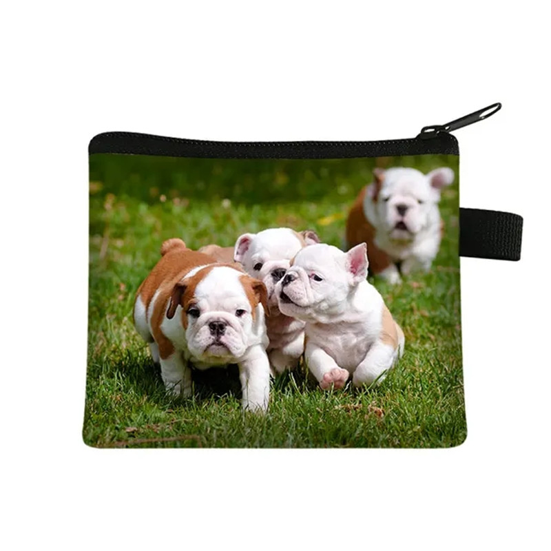 Cute Floral Bulldog Print Coin – Men Fashion Kids Bewertung und Preis